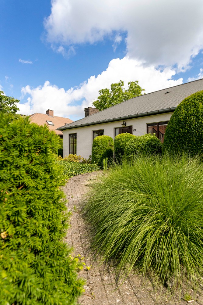 Charmante, te renoveren woning met grote tuin en garage in Wommelgem! afbeelding 18