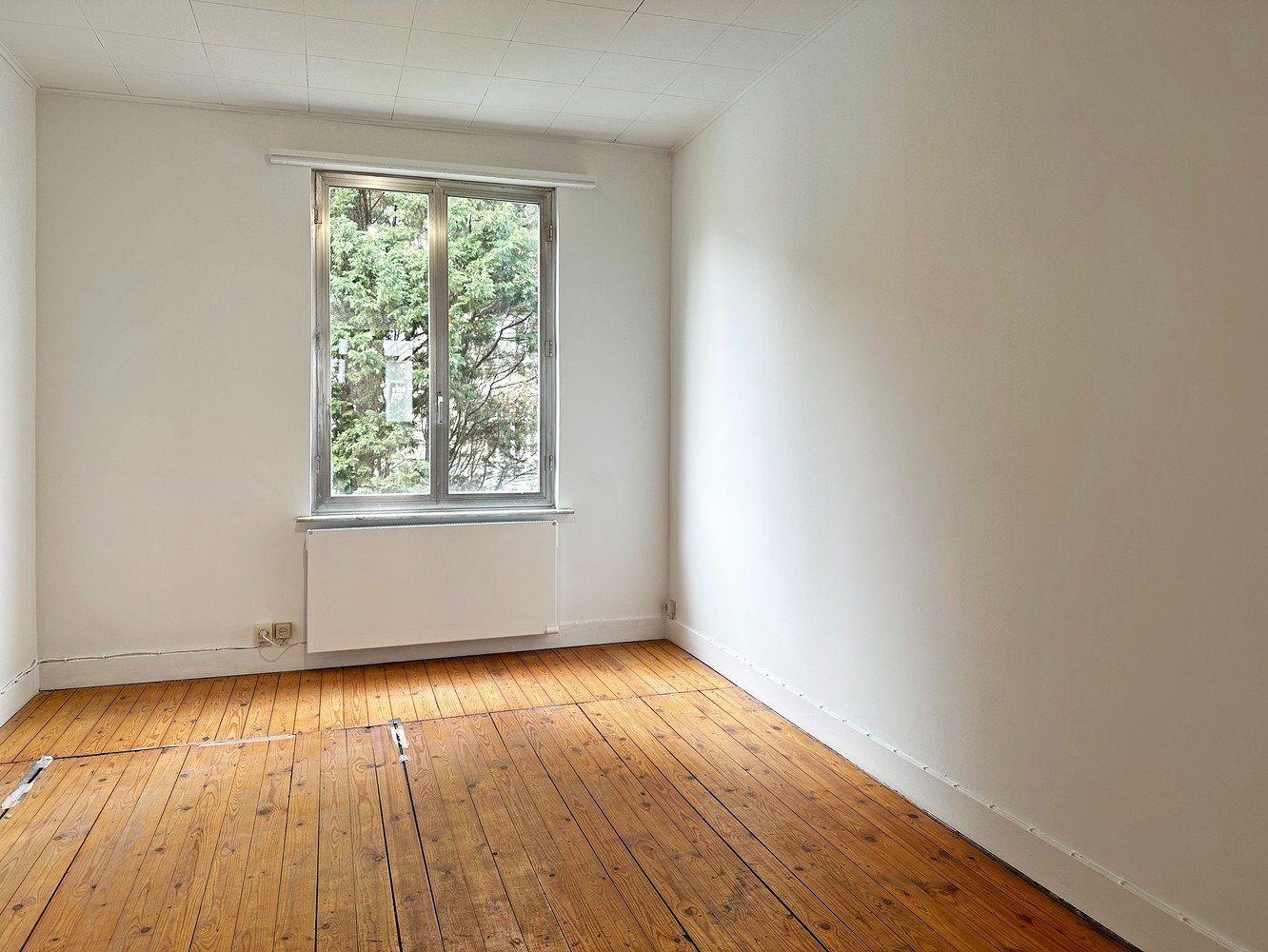 Volledig opgefrist appartement op de grens met 2018, nabij de Zoo van Antwerpen. afbeelding 11